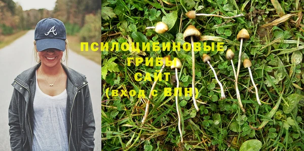 a pvp Зерноград