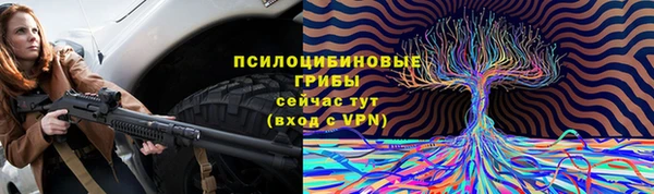 a pvp Зерноград
