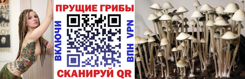 Галлюциногенные грибы мицелий  купить  сайты  Ухта 
