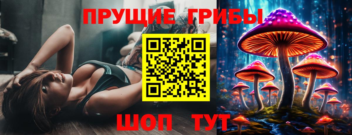 Ухта  Галлюциногенные грибы Psilocybe  Вход с VPN  Псилоцибиновые грибы мицелий 